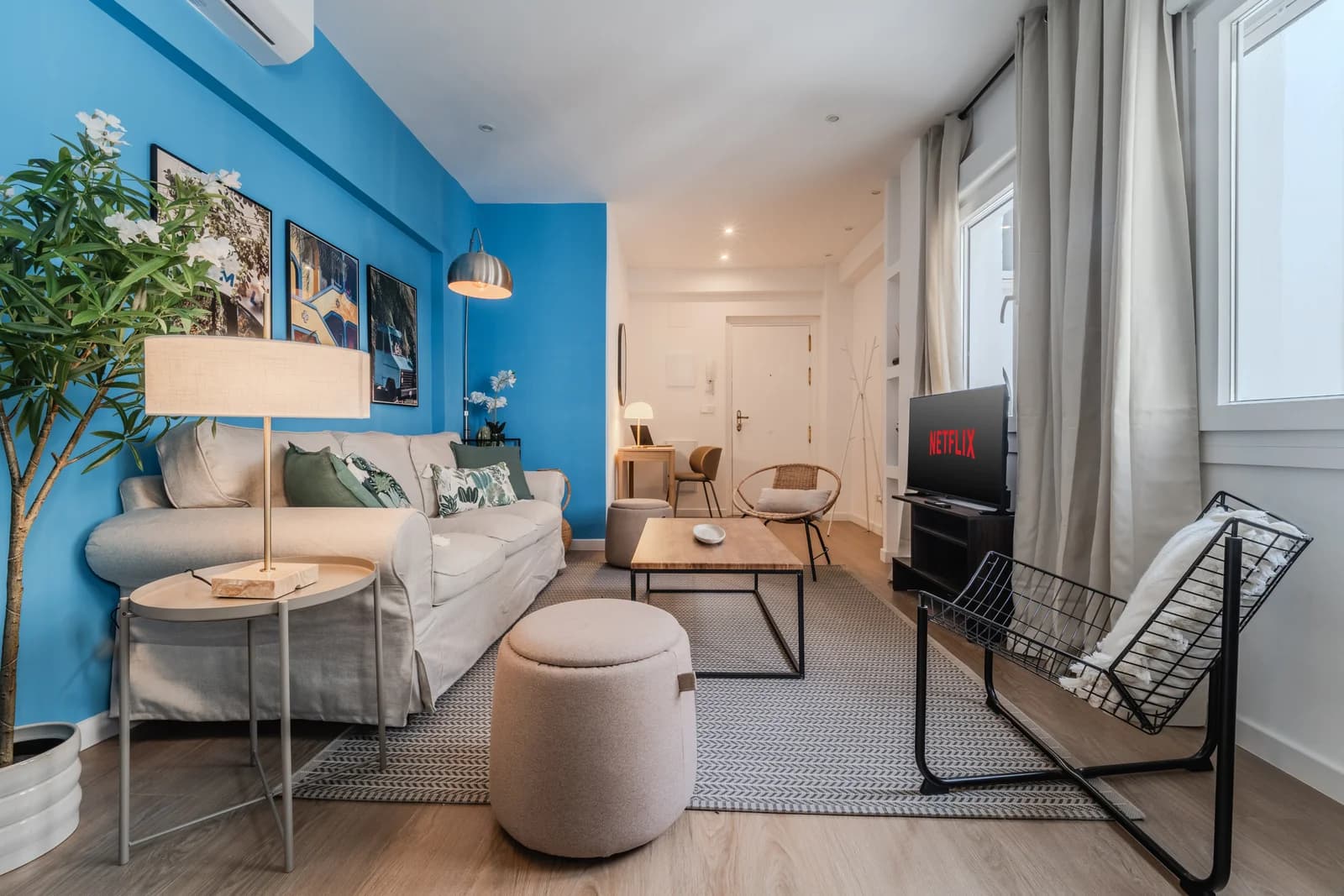 Bright lounge with cushioned sofa and wire mesh accent chair
